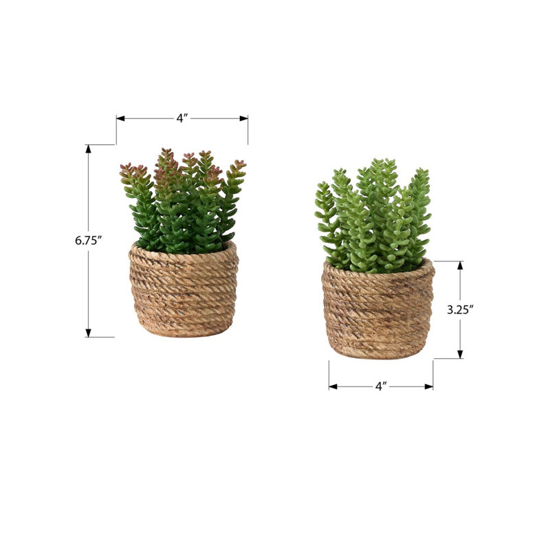 Plante artificielle