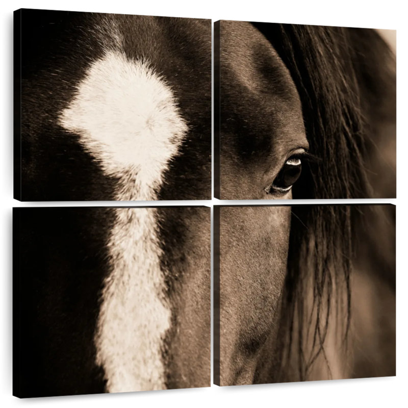 Brampt Dark Eyes, 74" H x 74" W