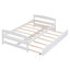 Lit plateforme avec lit gigogne-1056033855