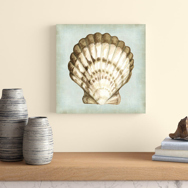 Sea Dream Shells III by Vision Studio - Wrapped Canvas Painting, 51cm H x 51cm W