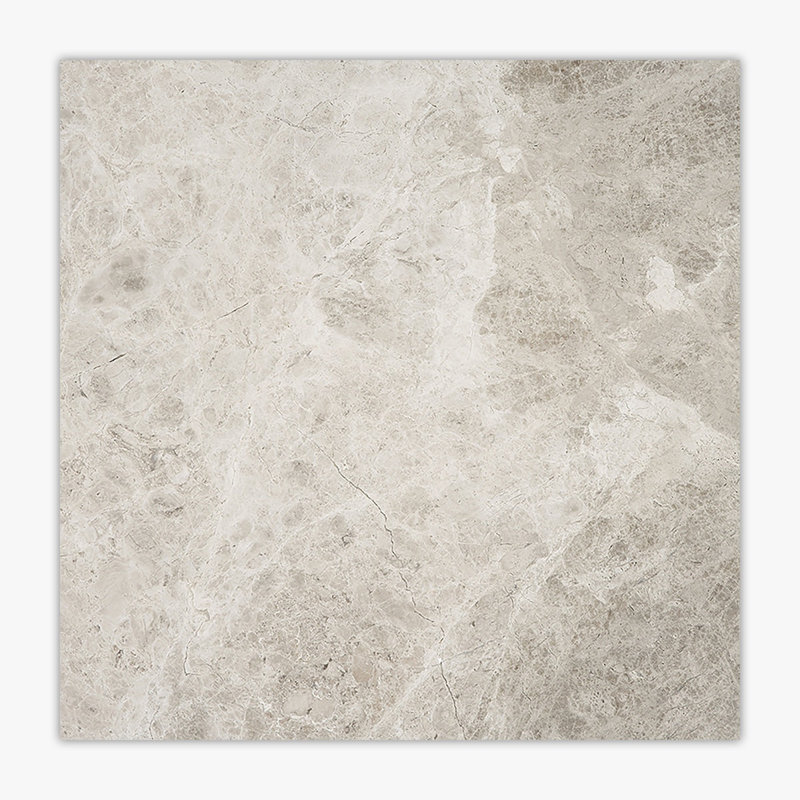 Galaxy Silver Polished 24x24 Limestone Tile