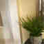 Photos des clients 1 de 1