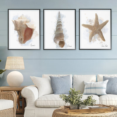 Ensemble de 3 giclées encadrées Honeybloom Coastal Seashells, par Matthew Piotrowicz
