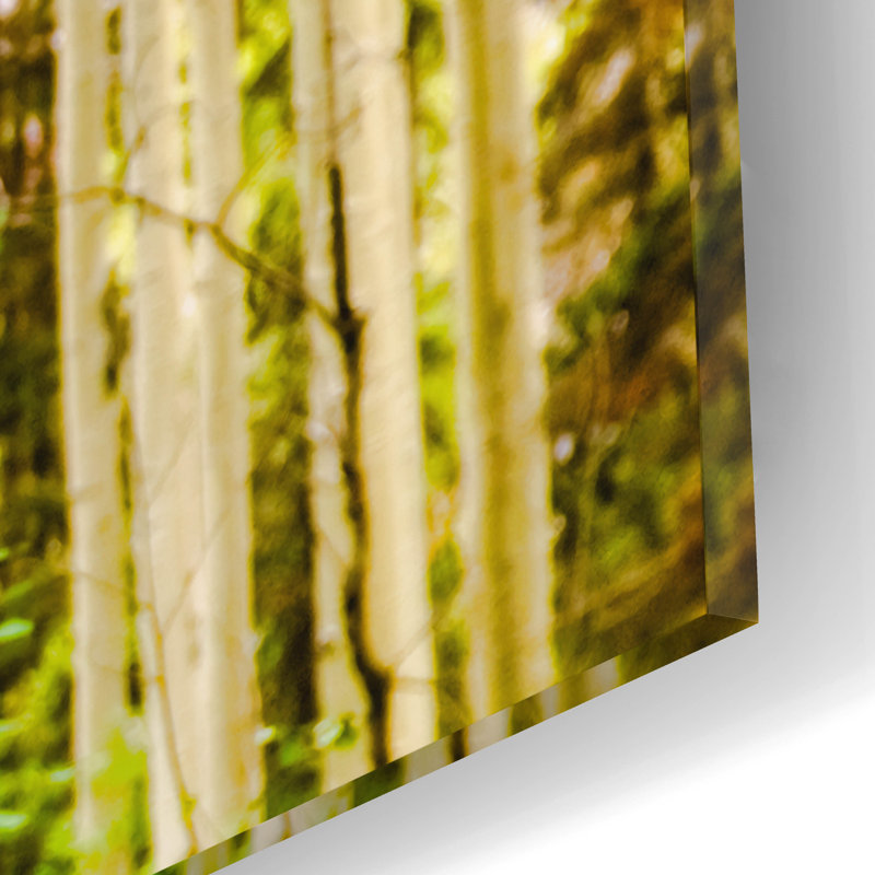 "Spring Aspens" par Mark A Paulda, H 16 po x l 12 po x P 0,13 po