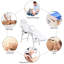 Massage Table