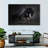 Brampt Elegant Black Horse-107680412