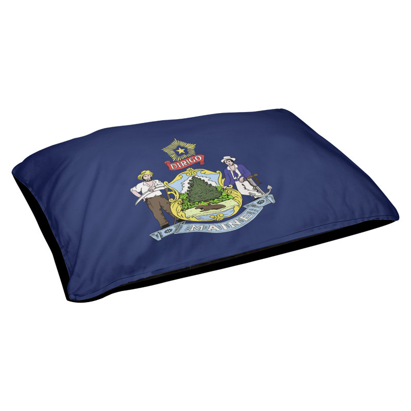 Coussin de créateur de pavillon maine Burien, L 42 po x l 52 po, Noir