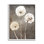 Fluffy Dandelion Plants Wildflower