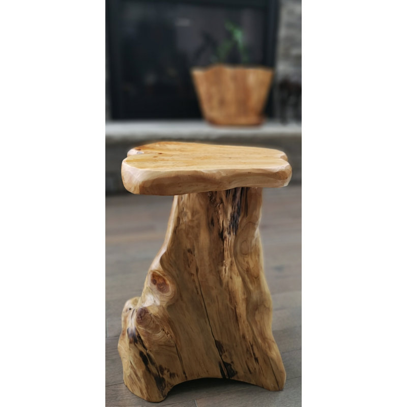 Millwood Pines Tora Free Form Pedestal Solid Wood Plant Stand & Reviews ...