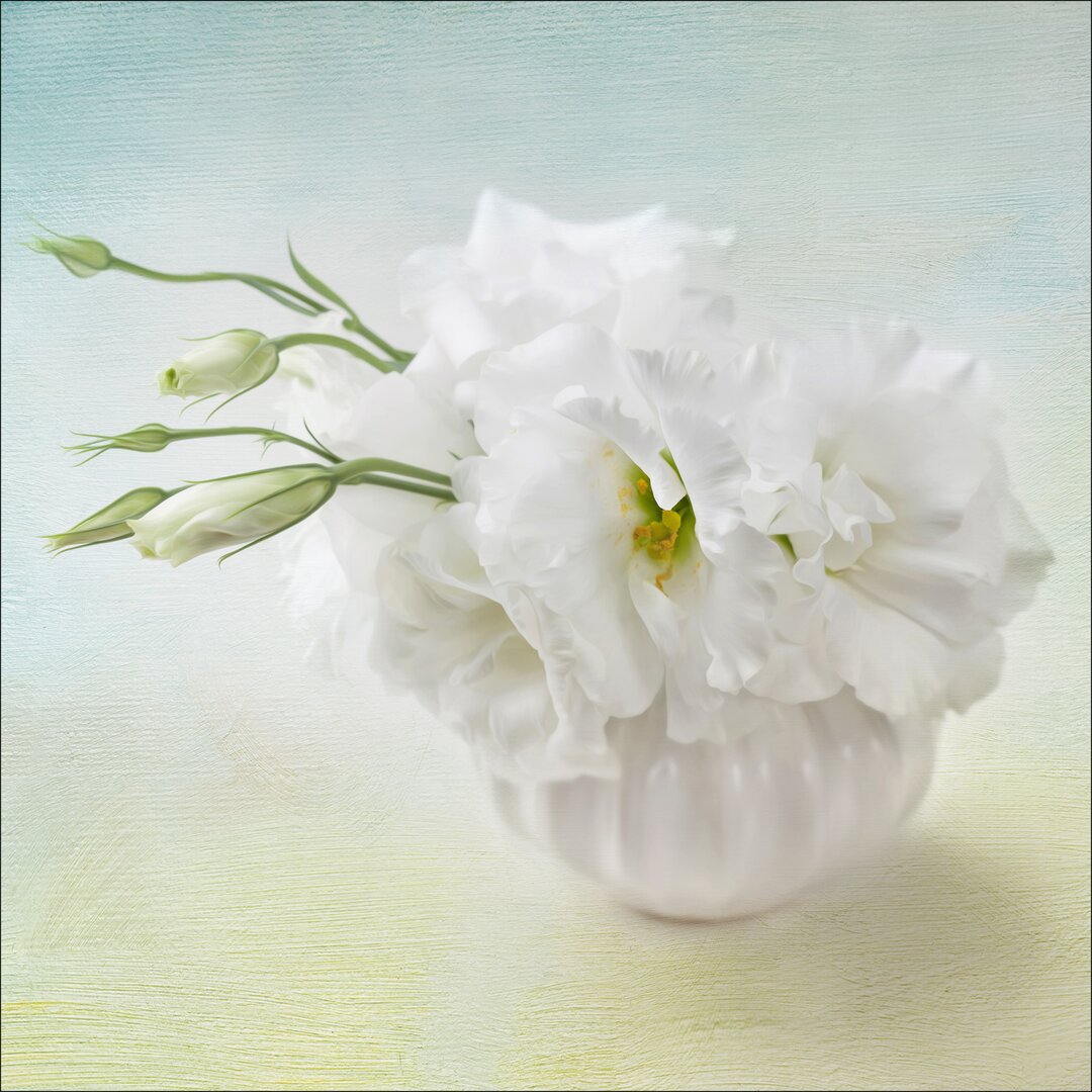 Glasbild Sweet Peony, Kunstdruck