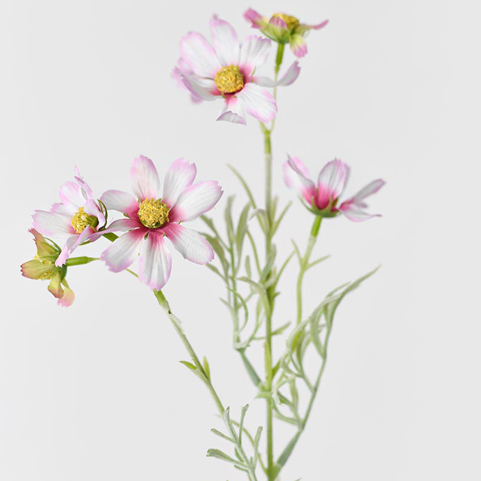Audet Cornflower Stems, Pink, 18.33" x 4"