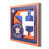 Astros de Houston
