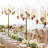 17-Arms Grand Floor Candelabra-109029035