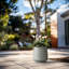 Grand pot à fleurs Brenno-310169912-293152732