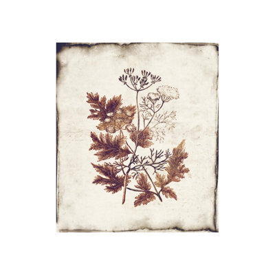 Botanique III Print by Zoey Riley