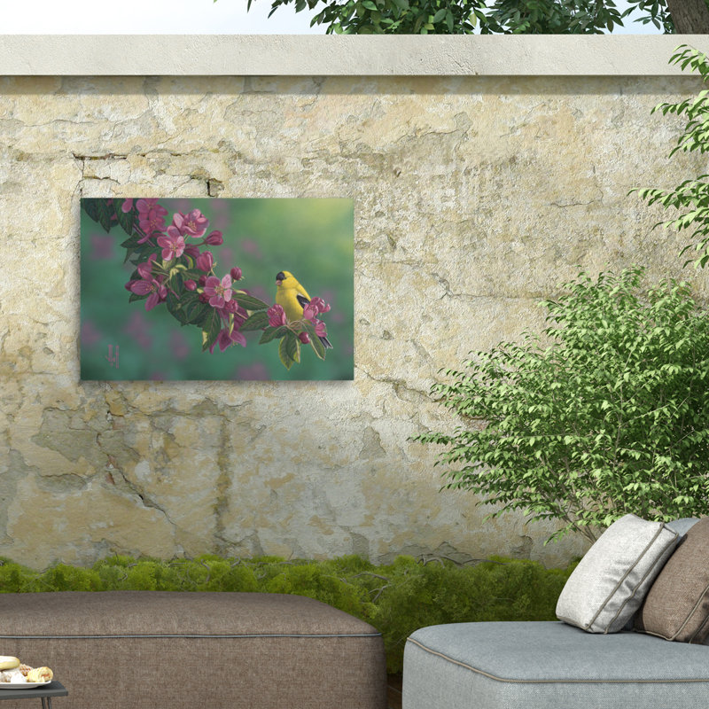 Jeff Hoff, chardonneret et toile d'extérieur rose, H 16 po x l 24 po
