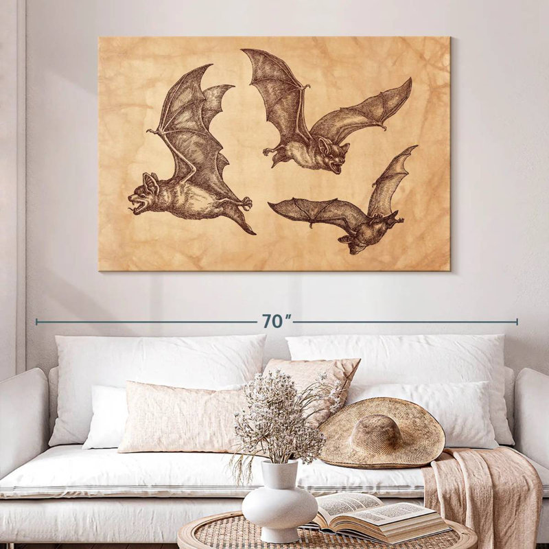 Chauves-souris Brampt, H 34 po x l 51 po