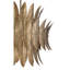 Sanctuary 6-Light Pendant in Coronado by Breegan Jane