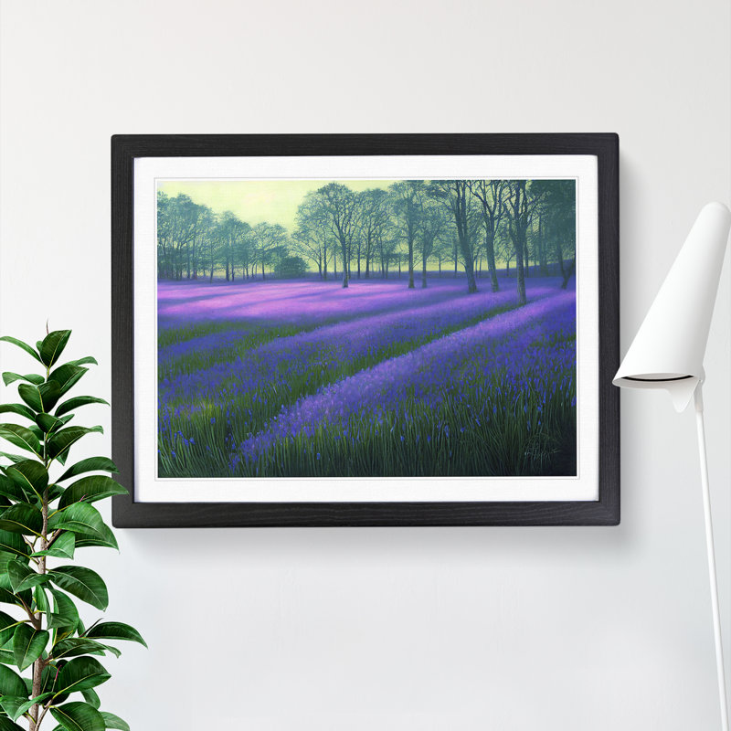 Special Bluebell Field - Single Picture Frame Print, 46cm H x 64cm W x 2cm D, Black