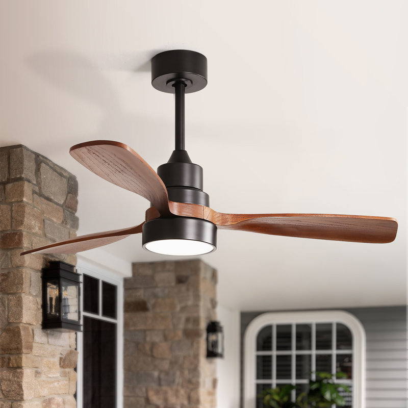 48" Nicola 3 - Blade Modern Ceiling Fan with Remote Control and Light Kit, Black with Brown Blades