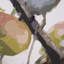 Oiseaux et pommes, toile texturée décorée à la main-123223480