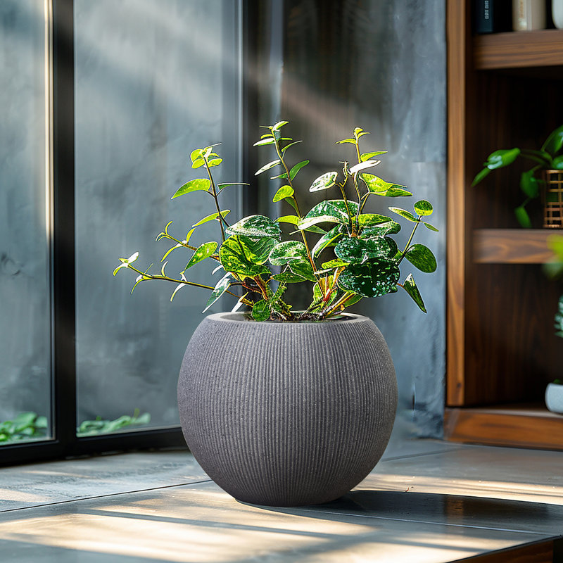 Anjonette 14.5'' D Round Bowl Grey Planter, Mediterranean Style Plastic Plant Pot, Gray
