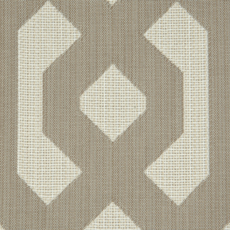 Rayland 100% Cotton Fabric