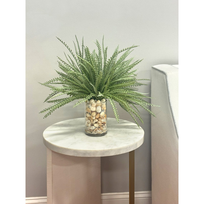 Feather Fern Arrangement with Shells