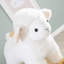 Rocking Horse