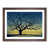 Walnut Framed