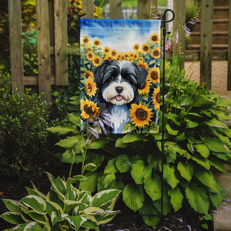 Lévrier irlandais dans le drapeau du jardin de tournesols, Bichon havanais