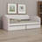 Compact Upholstered Daybed, Includes Two Spacious Drawers for Organization-803063361