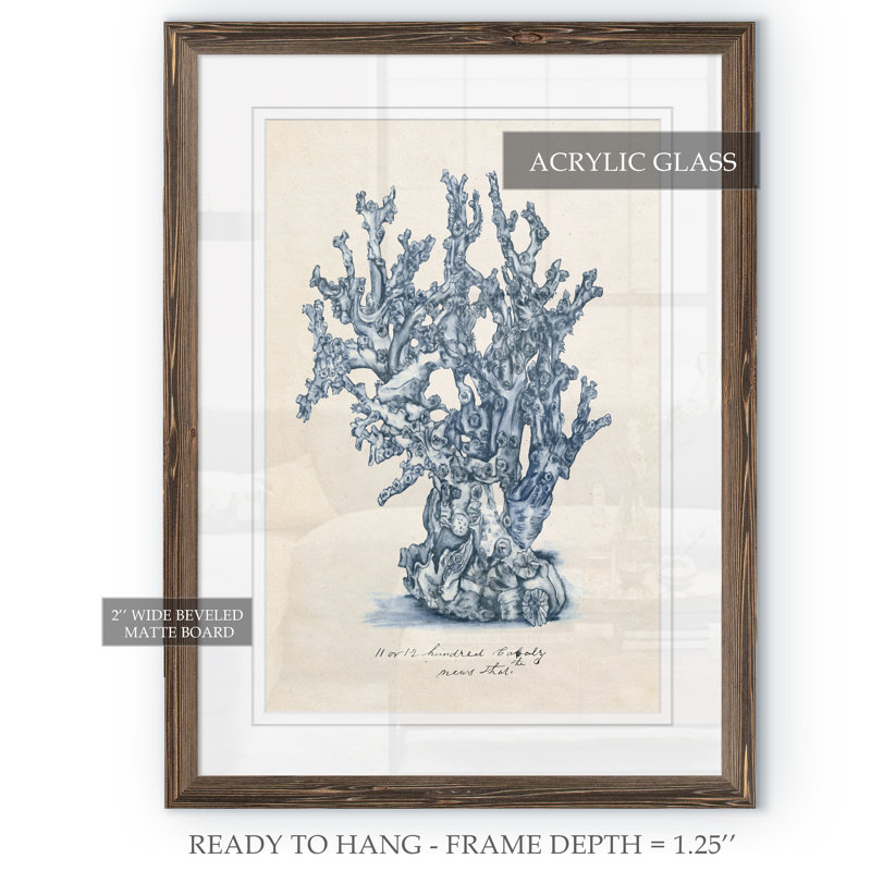 « sea corail study iv » par paul cezanne-cadre photo, reproduction d’art, H 32 po x l 44 po x 1,25 po, Blanc
