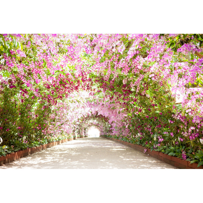 Footpath In A Botanical Garden With Orchids Lining The Path by Nopparatz - Wrapped Canvas Print, 51cm H x 76cm W x 3.8cm D