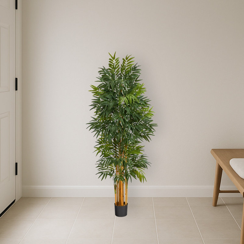 Phoenix Artificial Palm Tree with Natural Trunk, 66" H x 20" W x 20" D