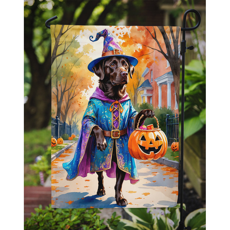 Drapeau du jardin Mastiff, Labrador Retriever chocolat