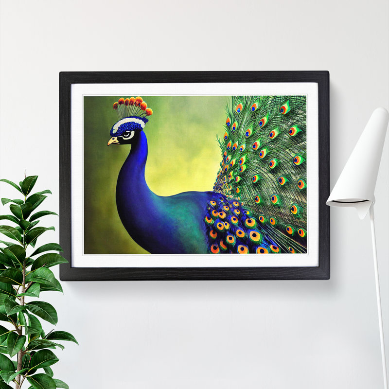 Fine Peacock - Single Picture Frame Print, Black Framed, 46cm H x 64cm W x 2cm D