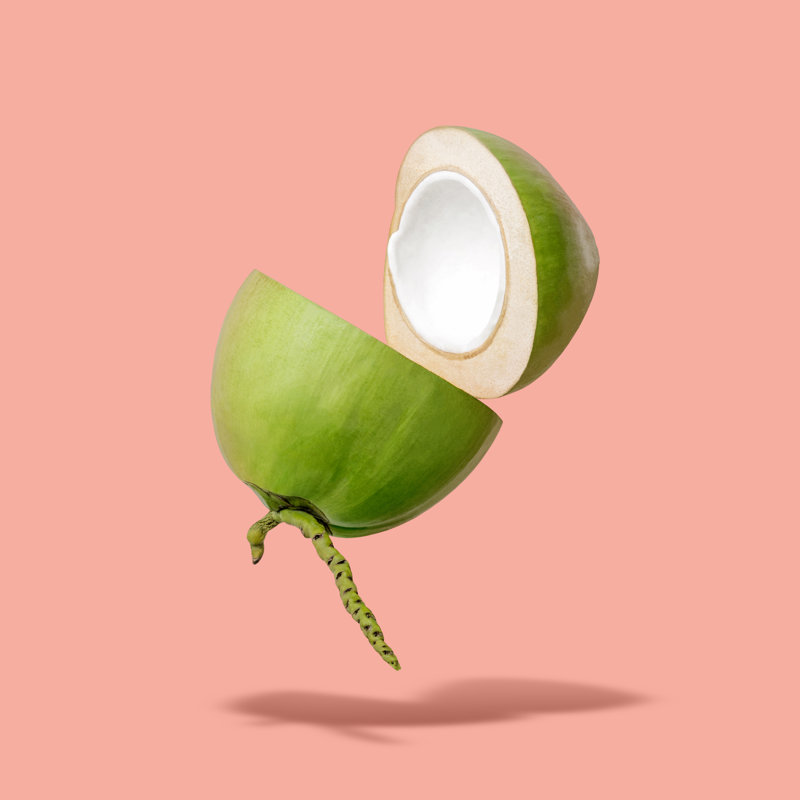 Dure Young Coconut - Wrapped Canvas Print, 91cm H x 91cm W 3.8cm D