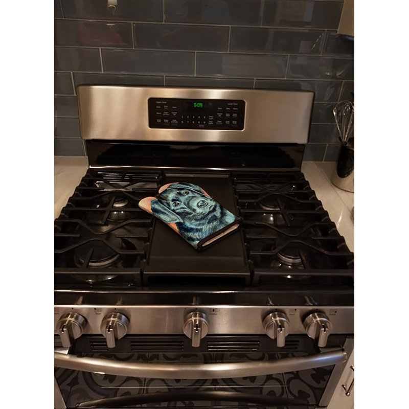 Red Barrel Studio® Polyester Oven Mitt