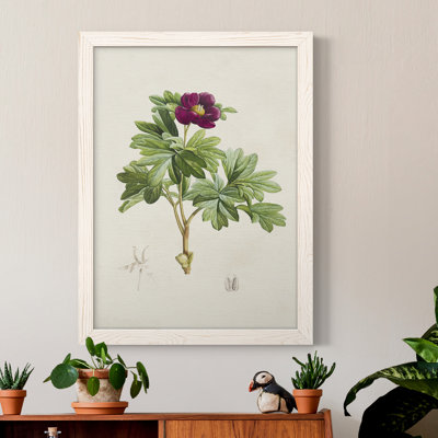 «Pretty Pink Botanicals III», reproduction d'art sur toile