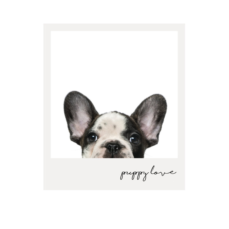 Amour des chiots, H 12 po x l 8 po