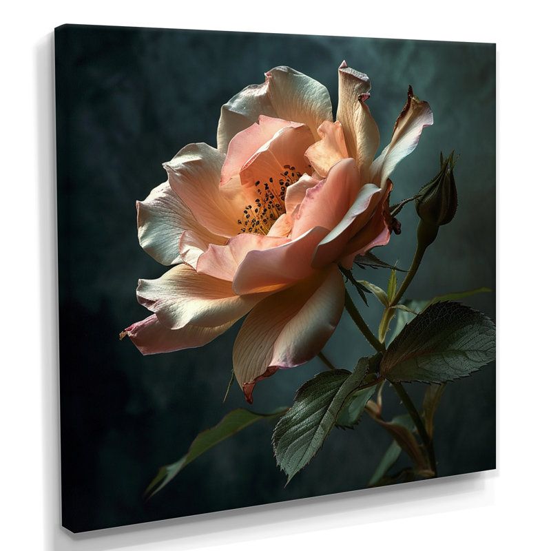 Rose rose gros plan - rose, art mural, Toile tendue, H 36 po x l 36 po x P 1,5 po