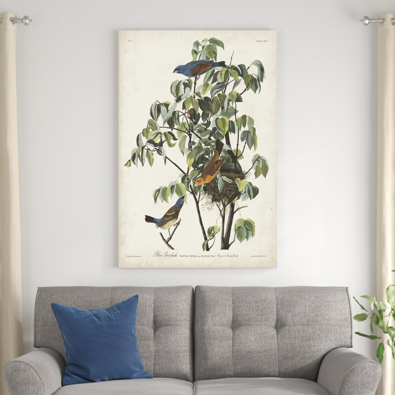 " Pl 122 Blue Grosbeak " by James Audubon Painting Print, 48" H x 32" W