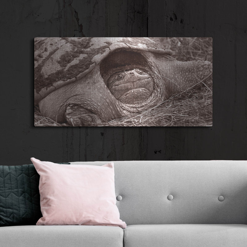 «Buffalo River 11» par Gordon Semmens, H 12 po x l 24 po