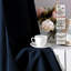 Blackout Curtain Pair-123431732