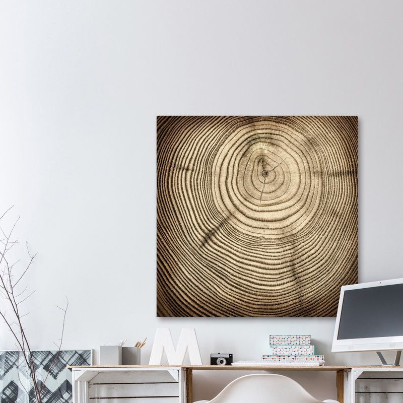 «Rings of Age», reproduction d'art sur toile tendue, H 32 po x l 32 po x P 1,5 po