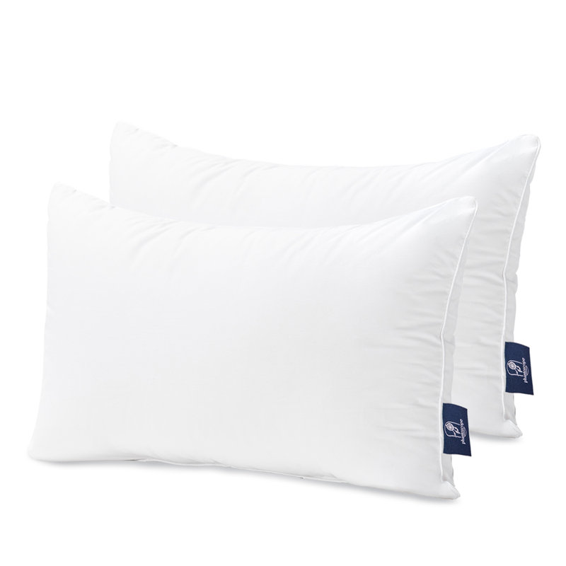 Insert de coussin décoratif fantôme 100% coton Phantoscope, Rectangle H 12 po x l 20 po