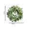 2 pièces 20 pouces couronne de baies d'olive artificielle feuille verte couronne d'olivier printemps été couronne pour porte fenêtre avant décorations murales suspendues