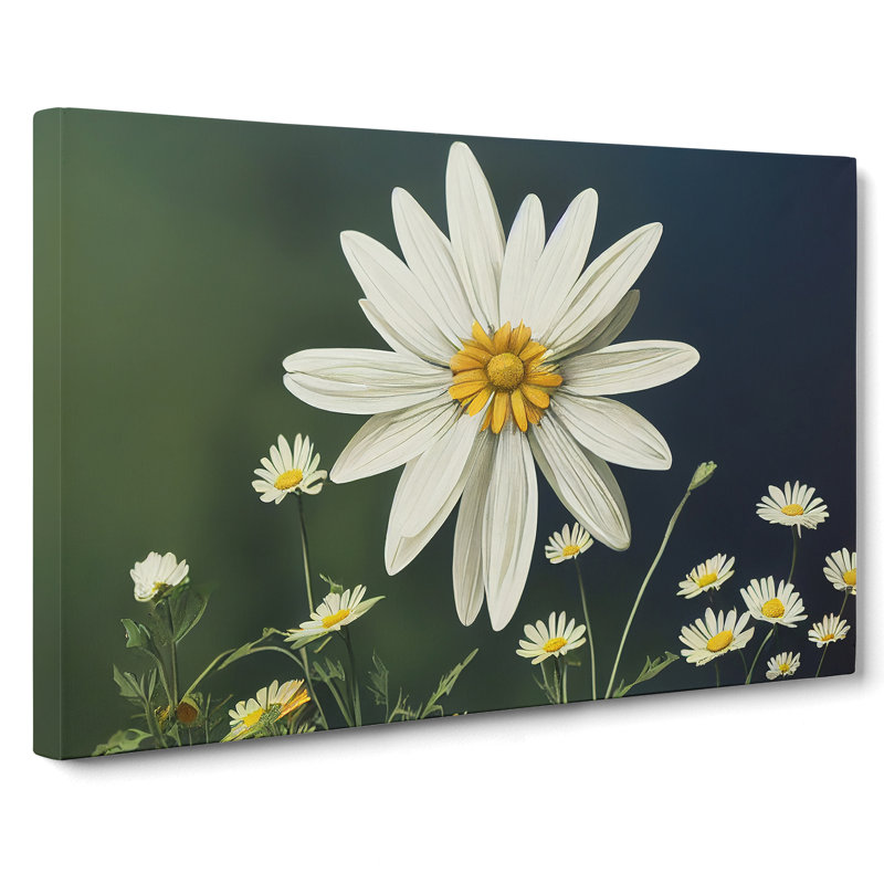 Sparkling Daisy Flowers - Wrapped Canvas, 50cm H x 76cm W x 3cm D