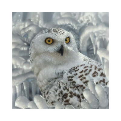 Snowy Owl Sanctuary - Wrapped Canvas Print